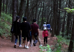 김태성 원장님과 드림플란트 직원들과 함께하는 문탠로드 걷기. 썸네일 이미지