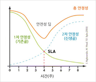 SLA 약4주후 안정적인 모습을 보이는 그래프